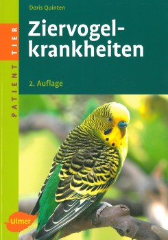 Quinten