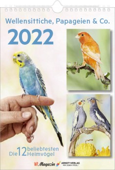 WP-Magazin-2022-1
