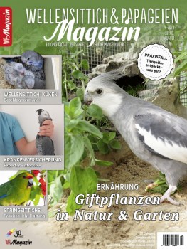 WP_4_2024-01_Cover