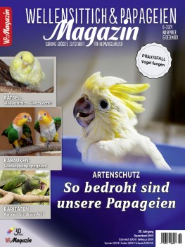 wp06_2024_titelseite_shop